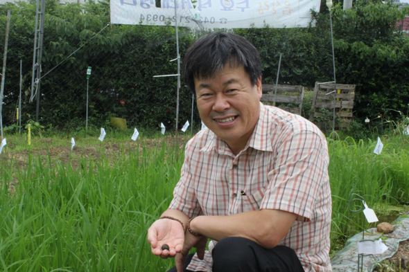 이태근 회장이 충북 오창 흙살림 본사의 작은 텃논에 살고 있는 우렁이를 들어보이고 있다. 이 회장은 2~3평의 도시텃논에 여러 종의 토종벼를 재배하는 도시텃논 보급에 나서고 있다.