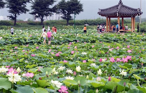 만든 곳→ 한국 네티즌본부카페: 변조방지표시