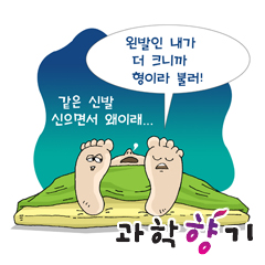 오른손잡이는 왼발이 더 크다?