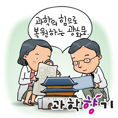 광화문 복원, 어떻게 진행됐을까?