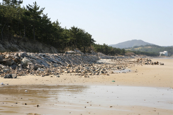  국내 최대 바닷가 모래언덕인 전남 신안군 임자도의 대광사구.  사진 국립환경과학원 제공 