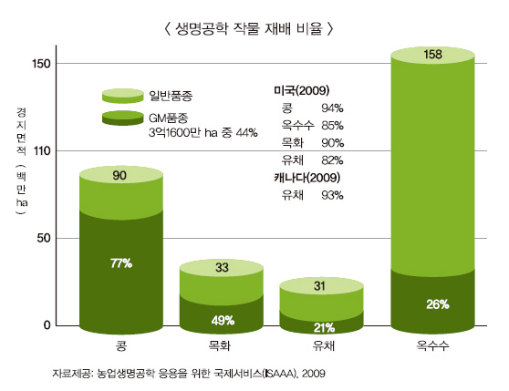 생명공학 작물 재배 비율