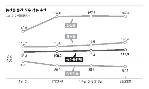 농산물 물가 지수 상승 추이