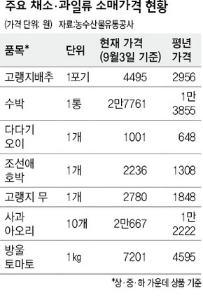 주요 채소·과일류 소매가격 현황