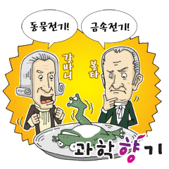 개구리 뒷다리에서 건전지 나왔다
