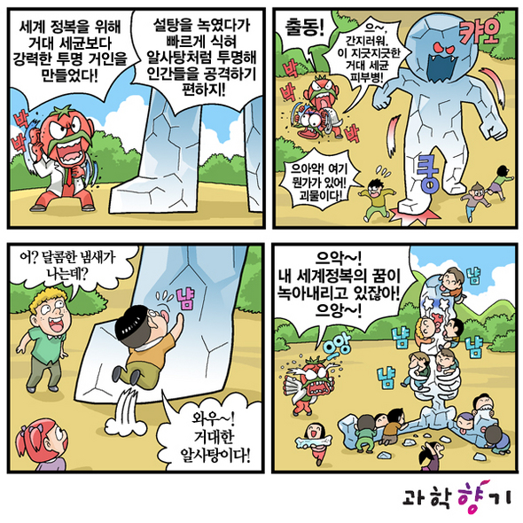 영화 속 투명망토 현실이 된다?
