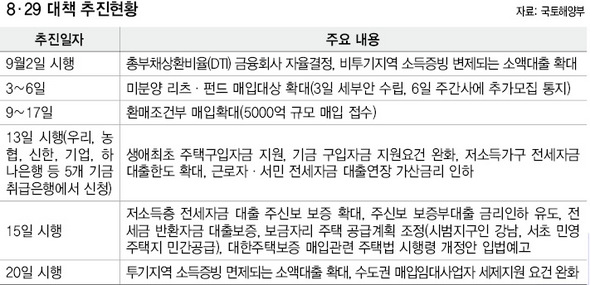 8·29 대책 추진현황