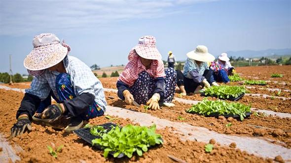 만든 곳→ 한국 네티즌본부카페: 변조방지표시