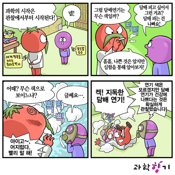 흡연자도 모르는 담배 연기의 비밀
