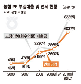 농협PF부실대출 연체 현황