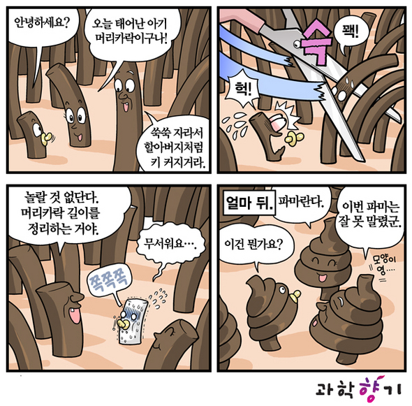 어린 머리칼, 파마에 도전하다!
