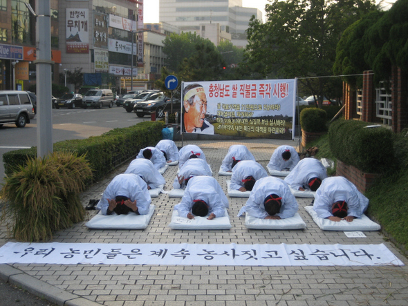18일 오전 대전 중구 충남도청 앞에서 전국농민회총연맹 충남도연맹 강사용 의장 등 농민단체 회원 10여명이 정부와 충남도에 쌀값 보장과 대북 쌀 지원, 태풍 피해 추가 보상 등을 요구하는 100배를 올리고 있다.  전진식 기자 <A href="mailto:seek16@hani.co.kr">seek16@hani.co.kr</A>
