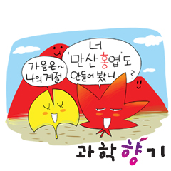 단풍에도 이유가 있다?
