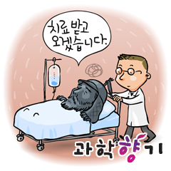 이순신 장군 입원, 치료는 어떻게 받을까?

