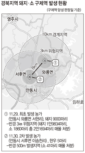 경북지역 돼지·소 구제역 발생 현황