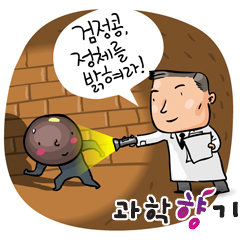 검정콩의 효능, 과학적으로 증명하다!
