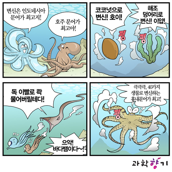 40가지 생물로 변신…‘변장술의 달인’ 문어