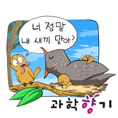 뻐꾸기의 ‘남다른’ 출산&#8228;육아 전략!