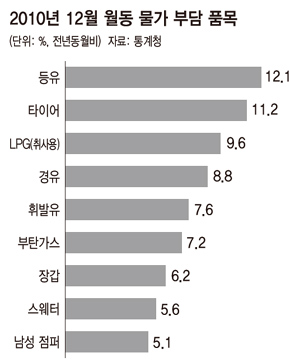 2010년 12월 월동 물가 부담 품목