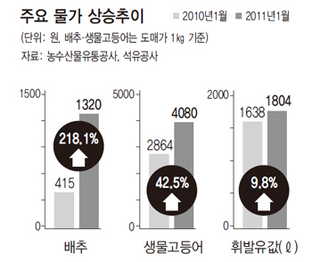 물가 상승 추이.