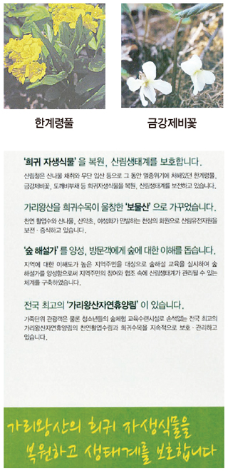 산림청이 지난해 12월 강원도 정선 가리왕산 등 국내 주요 산림유전자원보호구역을 홍보하기 위해 펴낸 홍보물 일부.