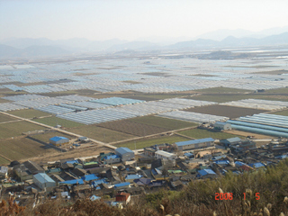 경남 밀양 하남.
