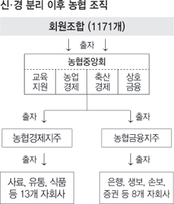 신·경 분리 이후 농협 조직