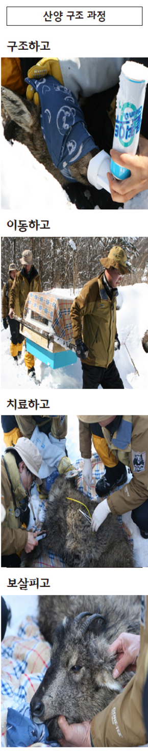 산양구조과정
