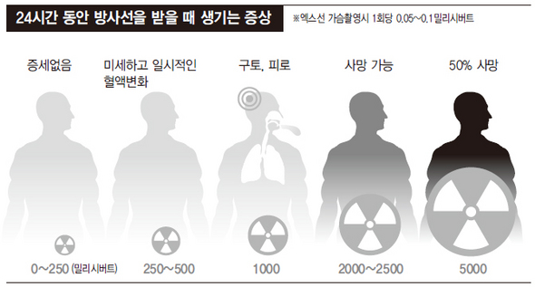 24시간 동안 방사선을 받을 때 생기는 현상