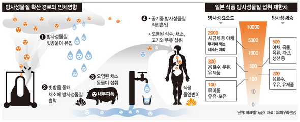 방사성물질 확산 경로와 인체영향/ 일본 식품 방사성물질 섭취 제한치 (※ 이미지를 클릭하면 크게 볼 수 있습니다)