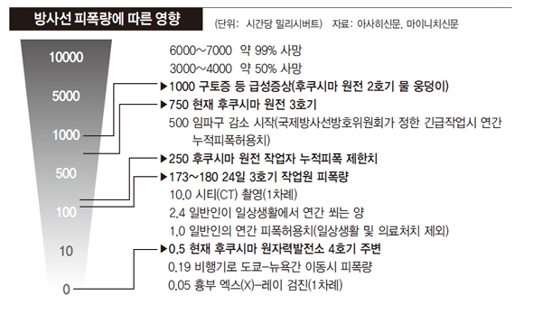 방사선 피폭량에 따른 영향