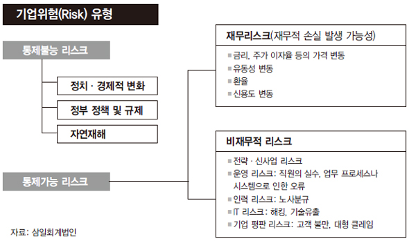 기업위험(Risk) 유형