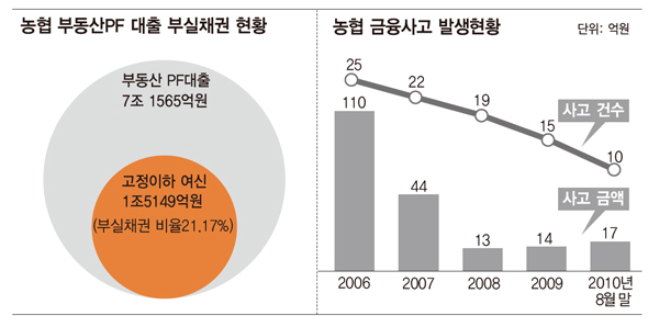 농협 부동산PF 대출 부실채권 현황