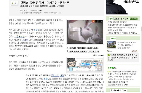 시민단체 모니터링단으로부터 문제로 지적당한 <한국일보> 기사 캡처 사진.