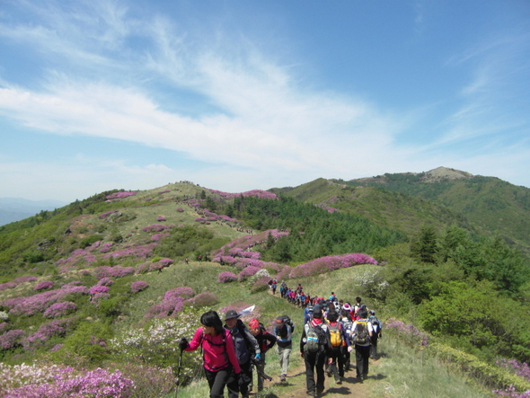바래봉 능선에는 해마다 약 20만 명의 탐방객이 몰린다. 지리산국립공원북부사무소 제공.