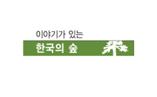 이야기가 있는 한국의 숲 3 철원 소이산