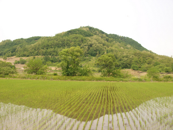 철원 소이산은 해발 365m의 낮은 산이지만 정상에 오르면 철원평야와 비무장지대가 한눈에 들어온다. 사진은 철원 소이산의 전경.