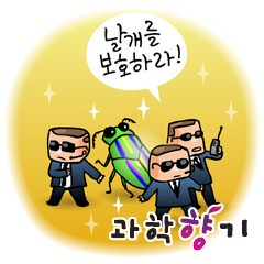 비단벌레 날개를 보호하라! 문화재 보존과학