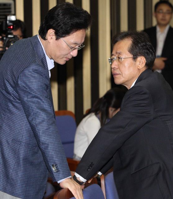 <b>심각한 찬-반</b> 홍준표 한나라당 대표(오른쪽)가 15일 오전 국회에서 열린 의원총회를 시작하기 전 심각한 표정으로 정두언 의원과 이야기하고 있다.  탁기형 기자 khtak@hani.co.kr.