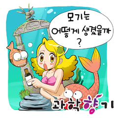 모기 꼼짝 마! 천연 모기 퇴치제 만들기