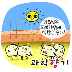 자외선이 피하지방에도 영향을 미친다?