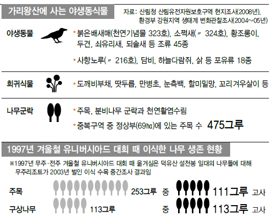 가리왕산에 사는 야생동식물/1997년 겨울철 유니버시아드 대회 때 이식한 나무 생존 현황