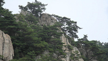  영상앨범 산(한국방송2 아침 7시40분)