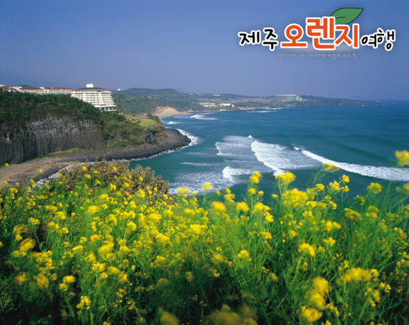 자료제공 : 제주오렌지여행