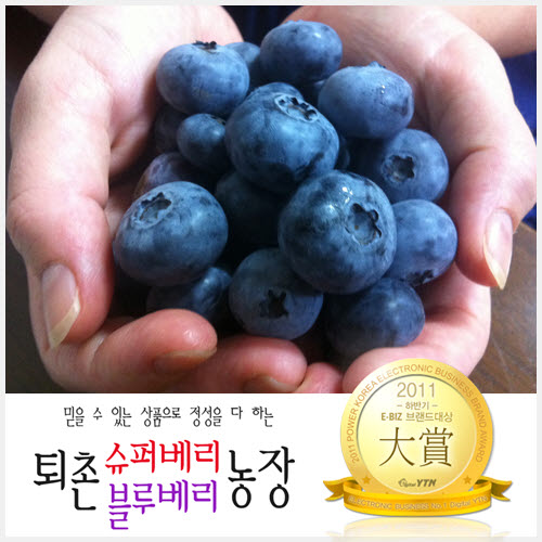 자료 제공 : 퇴촌블루베리농장