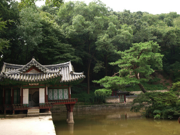 창덕궁 후원 부용대의 모습.
