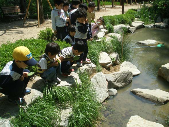 지난 5월 서울 도봉구 창1동 초안산 근린공원에서 소풍을 나온 어린이들이 개울가에 앉아 작은 물고기들을 찾고 있다. 도봉구 제공