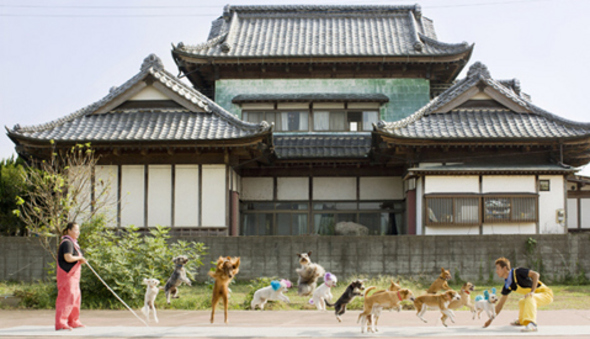 13마리 개줄넘기팀 일본 이바라키현 스쿠바시의 ‘수퍼 왕왕 서커스’팀. 13마리가 함께 줄넘기를 할 수 있다.