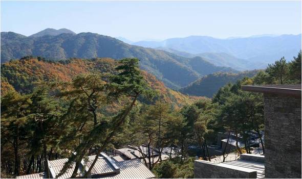 자료 제공 : 리솜포레스트