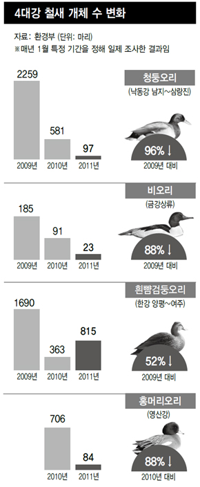 4대강 철새 개체수 변화 